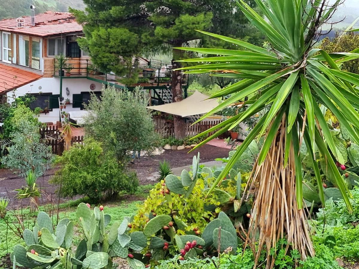 Sunset Valley Village Motta Sant' Anastasia Bagian luar foto